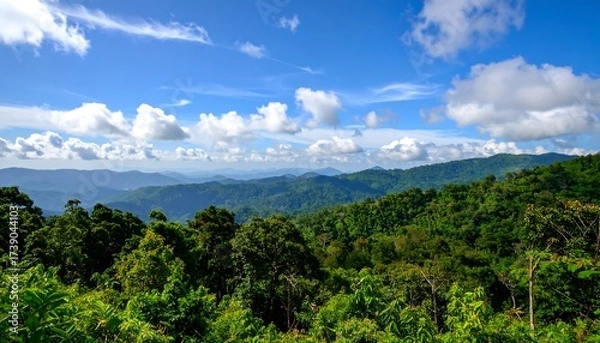 Fototapeta Forested hills under cloudy sky