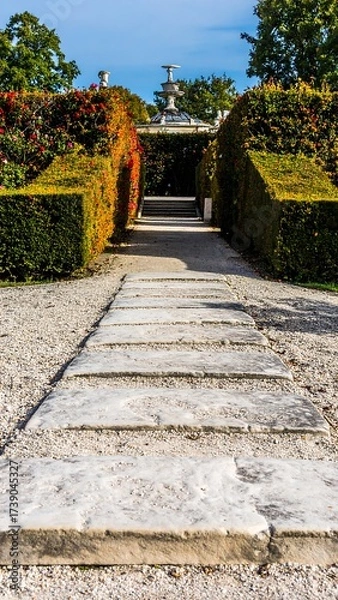 Fototapeta Garden path through greenery