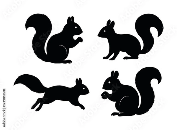 Fototapeta Silhouette illustrations of squirrels in various poses on white background