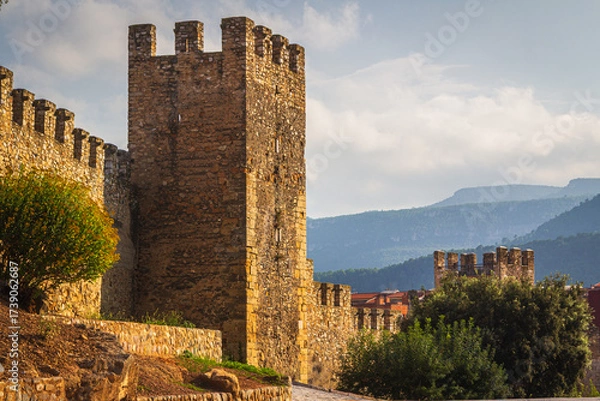 Obraz In the historic centre of Montblanc