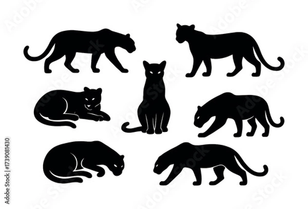 Obraz Silhouette collection of various big cats in different poses and postures