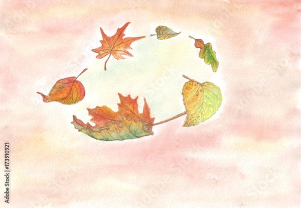 Obraz Illustration. Drawing with watercolor. Leaves in the autumn color range to spin.