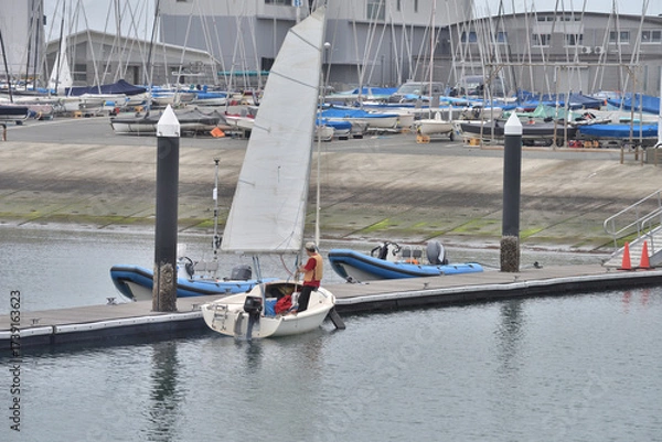 Obraz 江の島ヨットハーバーに停泊するヨット