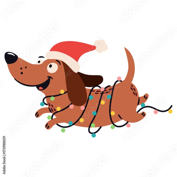 Fototapeta A cute dachshund dog runs wearing a Santa Claus hat wrapped in a garland, a flat vector Christmas illustration in a simple children's style. . Vector illustration