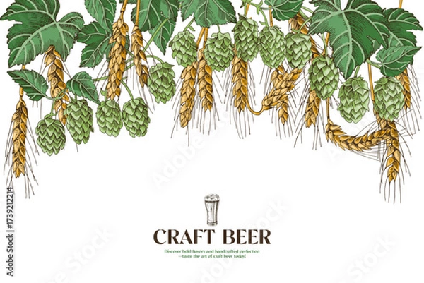 Fototapeta Wheat and hop branches background for brewery