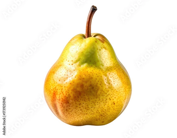 Fototapeta Ripe pear showcases a spectrum of colors from green to yellow and red-brown, with a textured surface and a brown stem, presented against a solid black backdrop emphasizing its form and highlighting...
