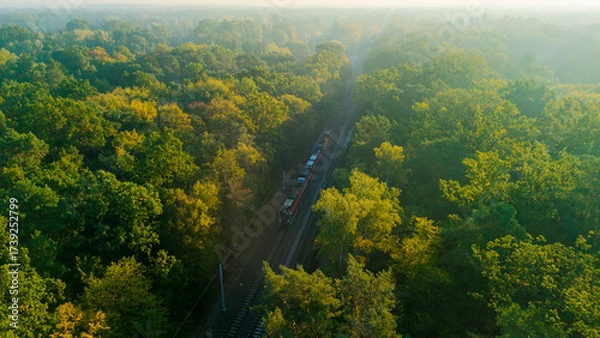 Obraz A passenger train traveling through a forest on a foggy autumn morning, symbolizing ecological and environmentally friendly public transport.