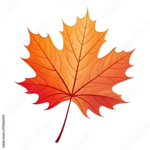 Obraz Single vibrant gradient maple leaf in red and orange autumn colors.

