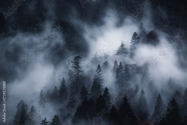 Fototapeta Dark and spooky pine forest with moving white fog. 