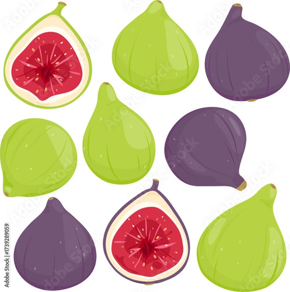 Fototapeta Figs, sweet fresh edible fruit of the fig tree. Set of ripe green and purple fig fruits whole and in section cut in half. Beautiful and tasty set of juicy figs. Vector illustration set
