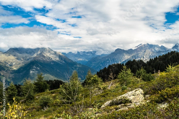 Fototapeta Blick ins Tal der Zillertaler Alpen