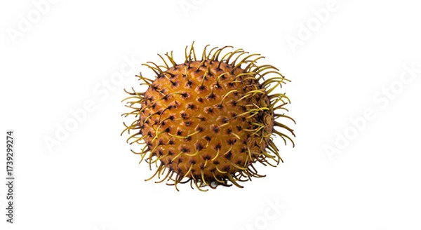 Fototapeta Vibrant Rambutan Fruit with Pixel Sorting Digital Art Effect