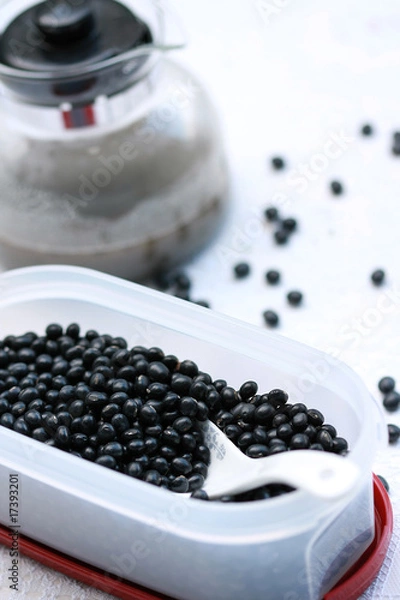 Obraz black soya bean