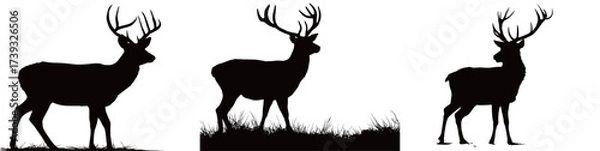 Fototapeta Three silhouetted deer are standing gracefully in a grassy area against a bright background. They appear peaceful and alert during the evening hours.