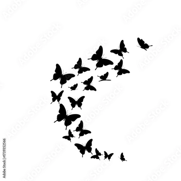Fototapeta Elegant flock of black butterflies in dynamic flight silhouette design isolated on white background