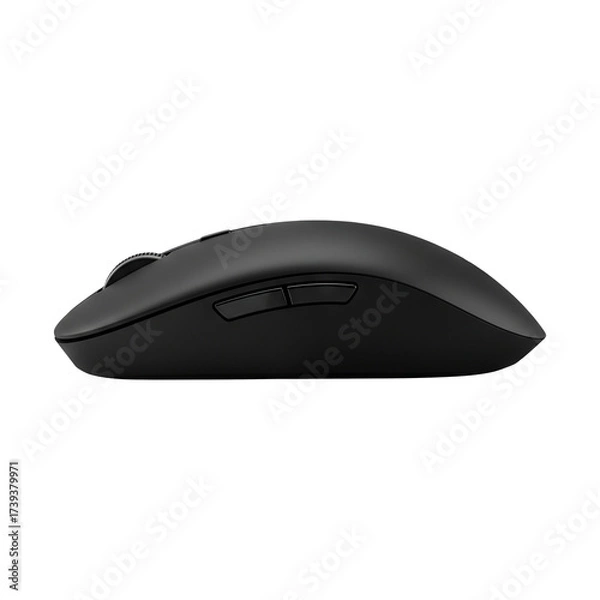 Obraz Computer mouse on transparent background