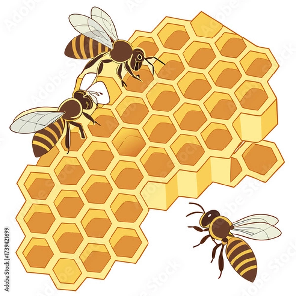 Fototapeta Three bees on a piece of honeycomb with hexagonal cells on a white background vector illustration