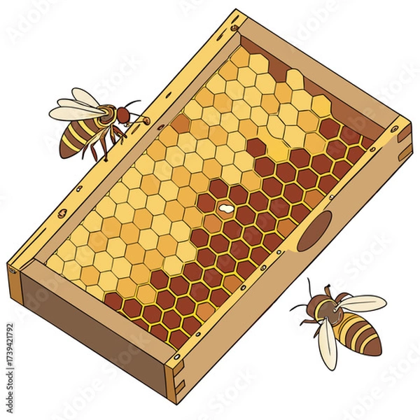 Fototapeta Two bees on a wooden beehive frame filled with honeycomb and one egg on a white background hexagonal