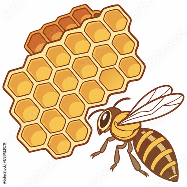 Fototapeta A single bee approaching a section of golden honeycomb on a white background Keywords: bee, honeycomb, honey, insect, apiary, beekeeping, nature, hexagon, cell, wax, sweet, food, production