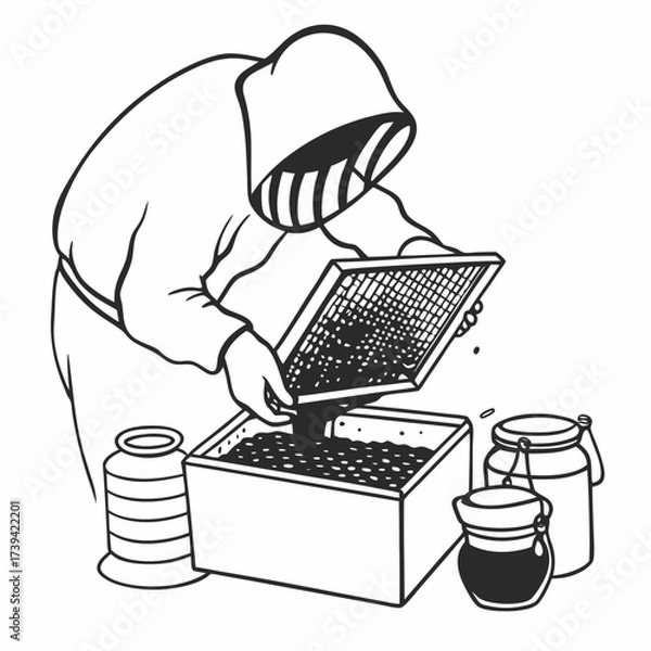 Fototapeta Beekeeper extracting honey from a honeycomb into a container extraction process