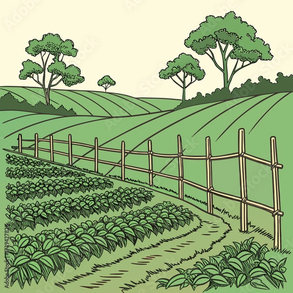 Obraz Green rolling farmland with rows of crops and a rustic wooden fence under a clear sky
