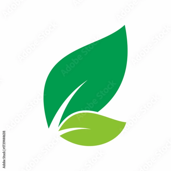 Obraz Vector natural green leaf clip art icon