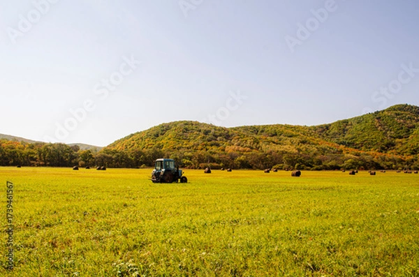 Fototapeta tractor in field