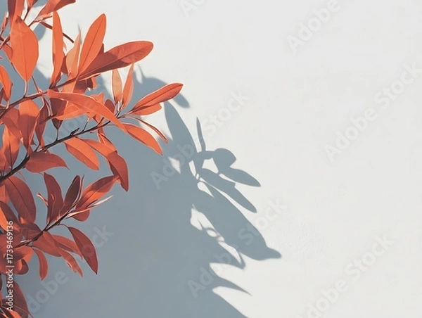 Obraz Vibrant Red Leaves Shadow on White Wall Minimalist Botanical Photography