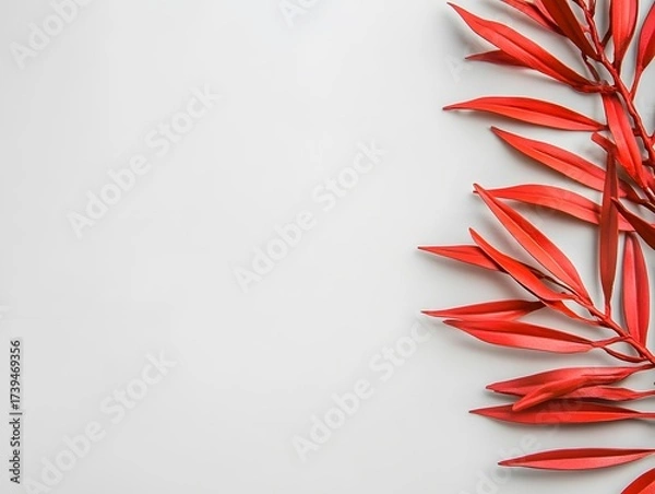 Obraz Vibrant Red Leaves on White Background Botanical Minimalist Design