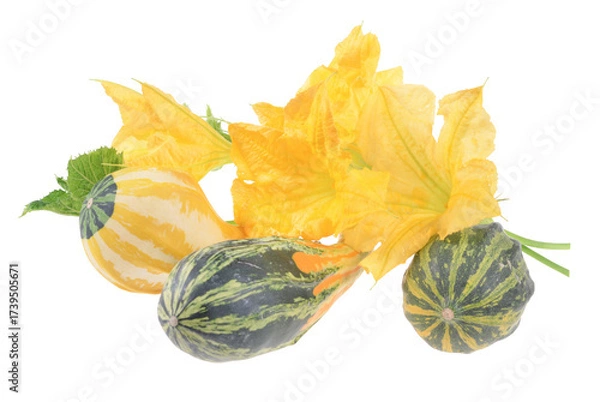Fototapeta A vibrant autumn display showcases a variety of decorative gourds and pumpkins on isolated white background