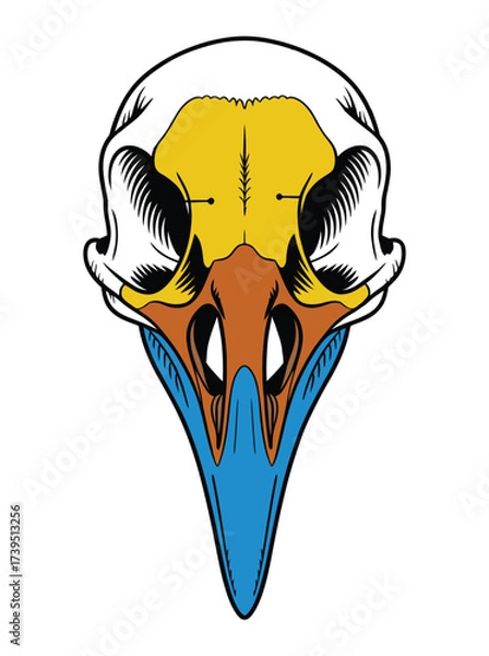 Fototapeta Colorful Bird Skull Vector Illustration in Detailed Artistic Style, skull vector, wildlife vector.