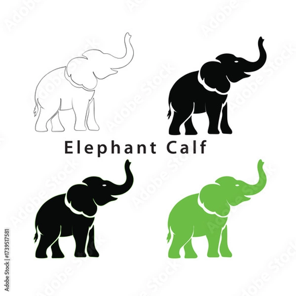 Obraz Elephant Calf.eps