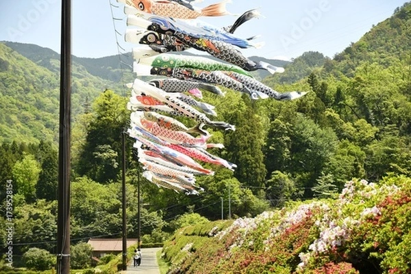 Obraz カラフルで沢山吊るされ風に泳ぐ鯉のぼり　島根県　津和野