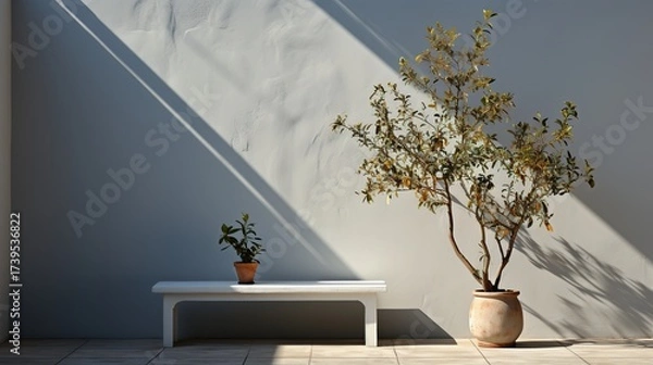 Fototapeta Sunlight and Shadow Play on a Textured Wall with Potted Plants in an Outdoor Setting