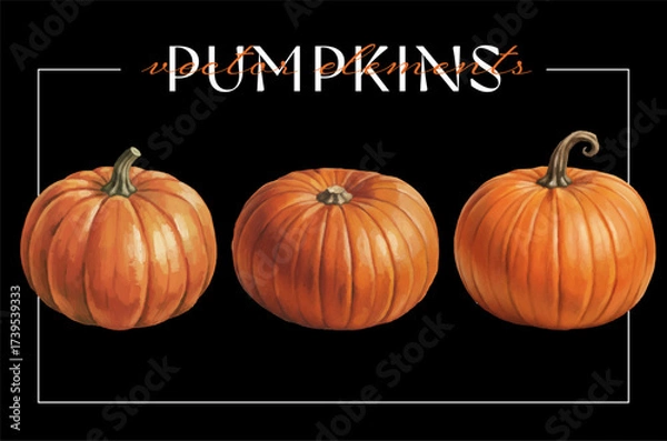 Obraz Pumpkin watercolor illustrations set, hand-painted autumn vegetables with textured shading for seasonal, cozy and festive designs.