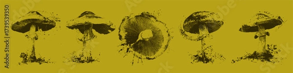 Obraz Grunge mushroom illustrations, rustic hand-drawn ink set of wild forest fungi, ideal for woodland, autumn, or organic design themes.