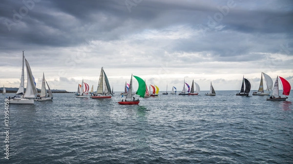 Obraz Branlebas de régates