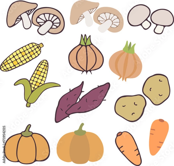 Fototapeta 채소가게_버섯_옥수수_양파_호박_당근_고구마_감자_식재료_야채