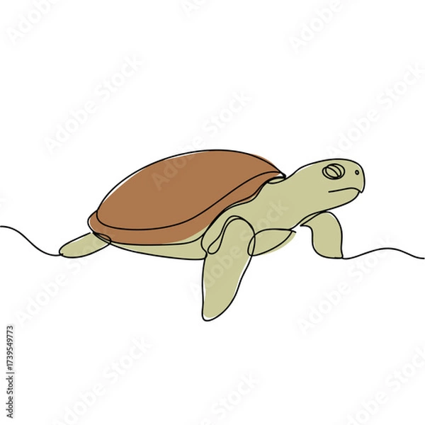 Fototapeta Line drawing of a turtle swimming with a detailed shell  