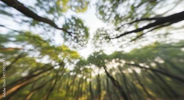 Fototapeta A Tranquil Forest Canopy Blurring the Lines Between Earth and Sky