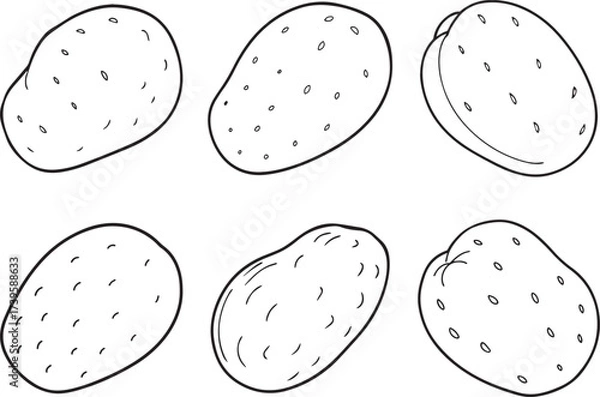 Obraz Collection of potato outline vector illustration line art