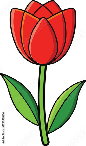 Obraz Red tulip flower vector illustration with green leaves