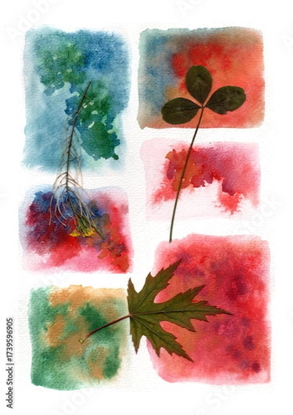 Fototapeta Dried plants are displayed against a background of six multicolored watercolor rectangles: a twig with small yellow flowers, a trefoil, and a carved green leaf reminiscent of a maple.