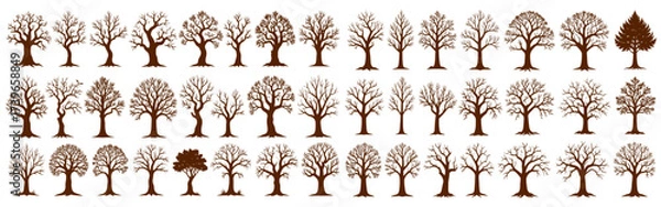 Fototapeta Set of different types old tree stump with roots silhouette vector, svg file on transparent background.