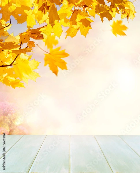 Fototapeta Autumn nature background with wooden table for product exhibition and branches with fall golden yellow maple leaves, orange autumnal foliage outdoors, copy space.
