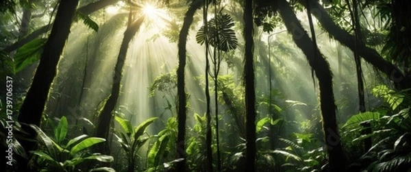 Fototapeta Sunlight streaming through dense rainforest with lush greenery.