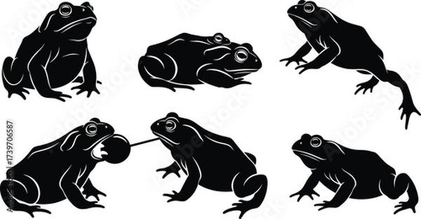 Obraz Frog silhouette illustration set, leaping, sitting, climbing, resting, feeding pose, water ripple, vector design