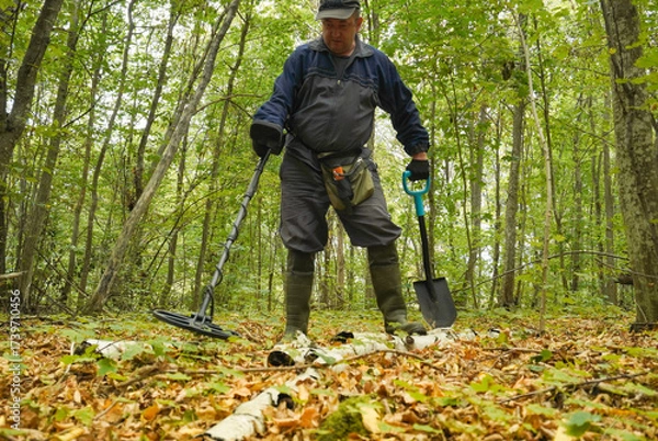 Fototapeta A person explores a lush green forest using a metal detector, focusing intently on the ground. The fallen leaves and trees create a serene natural setting in the afternoon