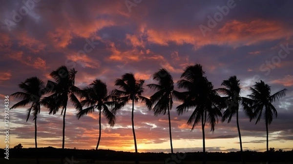 Fototapeta Silhouettes of palm trees against a vibrant sunset sky with dramatic clouds