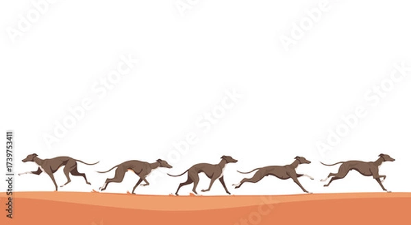 Fototapeta A line of elegant greyhounds running across a sandy terrain in animated sequence.